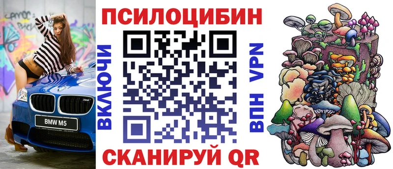 Псилоцибиновые грибы Magic Shrooms  купить наркотик  blacksprut ссылка  Бикин 